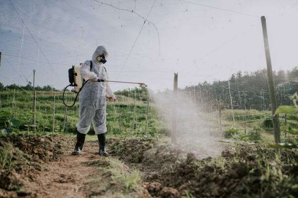 Best Mosquito Control Services  in King George, VA