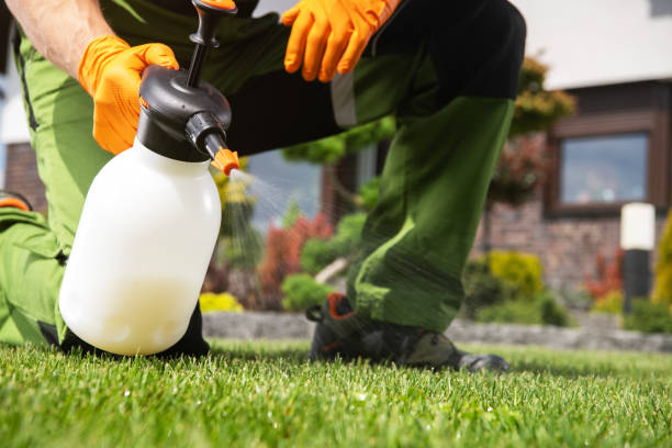 Best Wasp Removal Services  in King George, VA