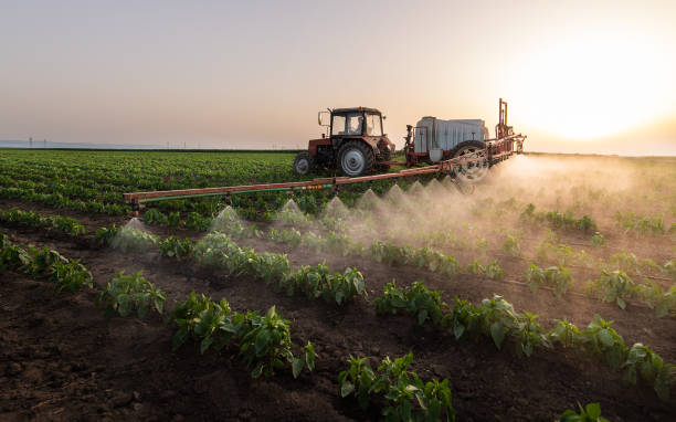 Pest Control Cost in King George, VA