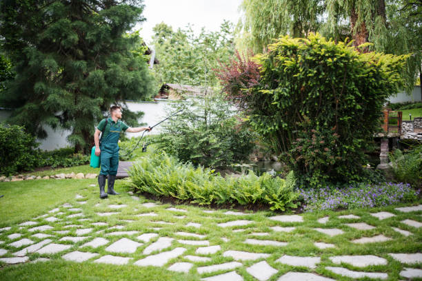 Best Pest Removal Services  in King George, VA